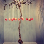 Pin van 비즈너리 op 디스플렝ㅣ | Etalages, Etalage, Decoratie