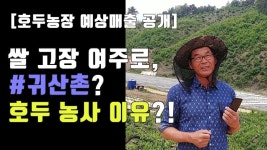 귀산촌 지원자금 3억, 호두 2천주에 최소 2억 수익예상, 아름드리 호두농장 - YouTube | 건강