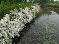 고양대로, #Goyang-daero, South #Korea (With images) | Places to visit, Travel, Outdoor