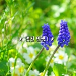 ★ 얼마나 멋진인생 입니까! ★   자신의 삶에만 너무 집착하지 맙시다. 삶 자체에만 지나치게 집착하기 때문에 자신을 잃어가고 있습니다.... 