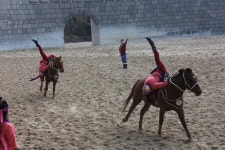 제주도  더마파크 말과 함께 공연하는 곳 | 역사
