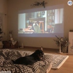 비 오는 날은 역시 집에서 보는 미니빔👍 원룸 아지트 - 원룸만들기 | 방 꾸미기 아이디어, 미적 침실, 침실 꾸미기 아이디어