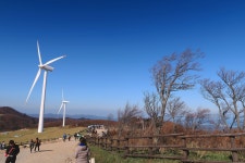 삼양목장 2019.10 | 가을