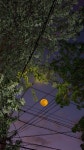 배경화면에 있는 Nov07🌙님의 핀 - 2020 | 풍경 그림, 풍경 배경화면, 미적 사진