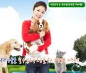 반려동물행동교정사 | 자격증정보 사업 광고가 생각 날땐ㅡ다오시오  http://daoco.xyz | 장면, 추억, 전투
