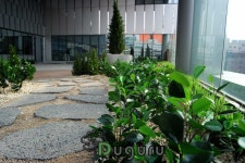 artificial landscape 실내조경 , 인조실내조경 , artificial  indoor landscape , planterior | Plants, Landscape, Garden