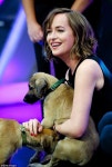 Puppy love! Dakota Johnson is left a little confused on a Spanish television show but all is forgotten when her co-star turns out... 