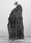 석(石)에 있는 Jong-gab Park님의 핀