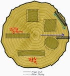 신창공예우드토픽 | 목공인이 알아야 할 나무에 대한 지식 | Bittersweet Story | 공예