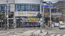야옹이 약올리니? #통영 #여행 #동물병원 #야옹아멍멍해봐 | 여행