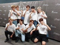 #StrayKids #스트레이키즈 #STAY #스테이 | Kids groups, Stray, Kids