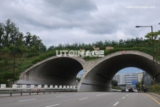 야생동물 이동로 생태교량  Yanggiri, 사진, 야생, 동물, 생태교, 생태교량, 다리, 생태, 통로, 터널, 건설, 이동로, 건물, 배경 | 사진, 건설, 배경