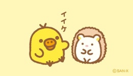 Pin on 이쁜 똥깡아지 우리 아치