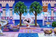 Pin by rrrrr on 포켓캠프 in 2021 | Taro