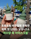 초록초록 비주얼에 쫀득한 쑥떡 맛 난다는 달달+고소 여수당 쑥 아이스크림  #여수 #여수당 #쑥 #쑥아이스크림 #아이스크림... 