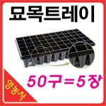 50구 삽목 트레이 - Google Search | Sugar maple, Ice cube, Ice cube trays