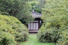 창덕궁 아름다운 비원과 창덕궁 Secret Garden and Changdeokgung Palace  비원과 창덕궁, 비원은 창덕궁안에 있는  정원으로 다른 어느... 