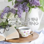 ★소망 하나 꿈 하나 그리고 희망 하나★    내 작은 소망 하나는 소박한 마음으로 당신이 가는 길에 아무 말 없이 두 손 꼭 잡고 따라가는 소중한... 