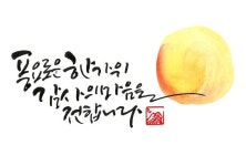 다음주면 벌써 추석입니다. 이번 추석은 빨리 왔네요!다들 복잡한 마음 잊으시고 가족과함께 즐거운 한가위... | 손글씨, 손글씨 문구, 카드