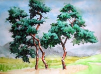 [기초 풍경수채화] 소나무 풍경 - 수채화과정 및 설명 | 풍경 수채화, 수채화 사진, 그림