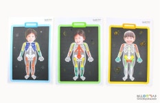 [보육사 무료도안]엑스레이로 찍은 내 몸을 관찰해요/5월 나와 가족 환경구성 환경판 | 가족, 어린이집 만들기, 가족 활동