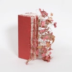 http://www.mariadiduch.com/data/storage/attachments/0395d5fa43e50945e1fc22b0ec079d5c.jpg(이미지 포함) | 종이 