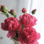 주문 kakao - @jeeah_mood  Tel - 070 7724 0722 . #jeeah_mood #지아무드 #florist #플로리스트 #플라워디자인 #플라워레슨 #플라워클래스…