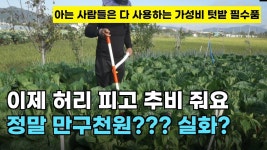 농작물에 있는 핀