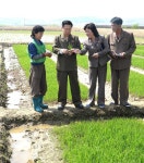 최룡해동지 평원군 원화협동농장 현지료해