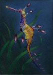 weedy sea dragon | Tumblr | 해마, 야생 동물, 동물