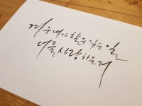 캘리에 있는 핀