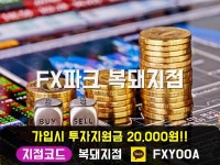 Pin on FX파크