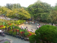 서울 어린이대공원, Seoul Childrens Grand #Park, 216 Neungdong-ro, Neung-dong, Gwangjin-gu, Seoul, South Korea | 여행, 동물원