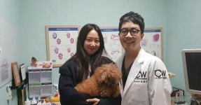 24시청담우리동물병원 (@5417515wr) en Instagram: 안녕하세요! 청담우리동물병원입니다! 오늘 청담우리에 특별한분이 내원해주셨답니다... 