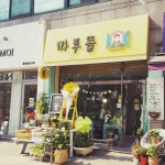 연주회꽃다발 #일요일문여는꽃집 #동산교회공방#동산교회 #꽃바구니배달 #사동꽃집 - 카페 앨범 - 마루포크아트 | 꽃 바구니, 꽃다발, 돈 꽃