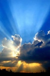 Rays of light | 디자인
