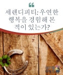 세렌디피티: 우연한 행복을 경험해 본 적이 있는가 | Serendipity