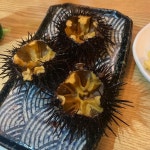 나마우니  야끼타마고  카라스미  카톡ID CARTAXFREE 자동차는 소모품입니다. 빚으로 가지고 가시겠습니까?... 