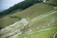 `청옥산 육백마지기` 차박하며 은하수 보기 좋은곳 | Country roads, Travel, Nature