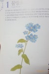 색연필그림그리기 1. 물망초 | Искусство, Ботаника
