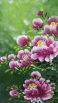 천아트 화담갤러리 | 꽃 예술, 꽃 그리는 법, 수채화 꽃