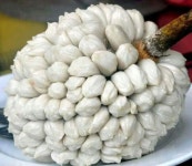 fruits around the world | FRUITS | Pinterest | 과일 FRUITS