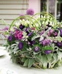 Unusual spring arrangement | 꽃꽂이