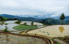 밭 관개 시즌 강남 자연 경치 생태 관광 여행 농업 계단 관개 시골 마을 자연 풍경 | 자연, 관개, 관광
