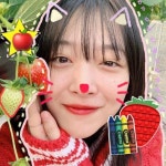 ⁺.화가/ / oh.. my baby Sulli en 2022 | Fotos de naruto shippuden, Mi novia hermosa, Foto de perfil