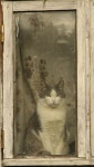 xineann:  Home yet? | 고양이 사진, 고양이 창문, 동물