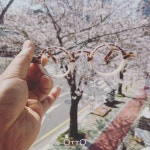 봄이 왔습니다 공방 앞 벗나무도 활짝 피었습니다 좋은 소식도 함께 올꺼 같은 예감입니다 - #봄 #안경공방 #오또 #springiscoming” - 2020