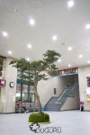 Artificial Pine trees 인조나무 , 인조소나무 , 실내조경 , artificial trees , indoor landscape , planterior - 2020 | 소나무