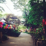 5/23 성북동 길상사 연등 | Sidewalk