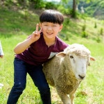 #휘바핀란드 #홍천양떼목장 #휘바핀란드펜션 #일상 #daily #travel #pic #photo #instagood #l4l #f4f #r4r #animal #healing... 